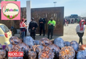 Desactivan una bomba en empresa productora de arándanos de Ica Desactivan una bomba en empresa productora de arándanos de Ica