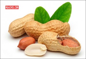 ¿Todavía no comes maní? Ya es tiempo que lo hagas... ¿Todavía no comes maní? Ya es tiempo que lo hagas...