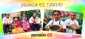 Emprendedores de Moquegua y Huánuco logran alcanzar los objetivos fijados | VIDEO Emprendedores de Moquegua y Huánuco logran alcanzar los objetivos fijados | VIDEO