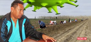 Peones del rico sector agroexportador de Ica aún no reciben vacuna contra la COVID-19 Peones del rico sector agroexportador de Ica aún no reciben vacuna contra la COVID-19