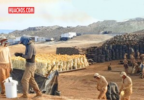 Agro Rural podrá comercializar 40 mil toneladas de guano de las islas para este 2022 Agro Rural podrá comercializar 40 mil toneladas de guano de las islas para este 2022