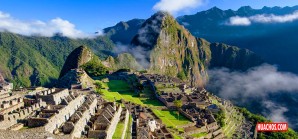 Santuario Histórico de Machupicchu registra nuevos avistamientos de mamíferos Santuario Histórico de Machupicchu registra nuevos avistamientos de mamíferos