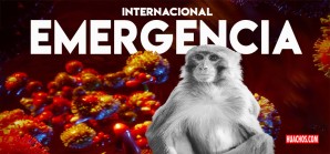Declaran la viruela del mono emergencia internacional de salud pública Declaran la viruela del mono emergencia internacional de salud pública