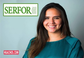 Contratación de la hija de José Gavidia por Serfor será investigado Contratación de la hija de José Gavidia por Serfor será investigado