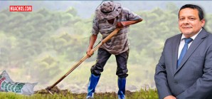 Midagri nombra a un guapo funcionario de comisionado para ir a comprar urea Midagri nombra a un guapo funcionario de comisionado para ir a comprar urea