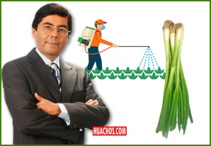 El test de la cebollita | VIDEO El test de la cebollita | VIDEO