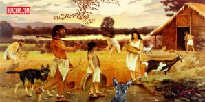 Los perros, tal como lo conocemos hoy día, fueron domesticados hace 15,000 años Los perros, tal como lo conocemos hoy día, fueron domesticados hace 15,000 años