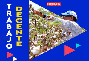 Trabajadores del algodón ponen en practica una bella experiencia laboral | VIDEO Trabajadores del algodón ponen en practica una bella experiencia laboral | VIDEO