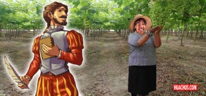 Breve historia de la uva en el Perú y por ende del pisco Breve historia de la uva en el Perú y por ende del pisco