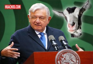 AMLO, el "cuate machote", está más loco que una cabra AMLO, el "cuate machote", está más loco que una cabra