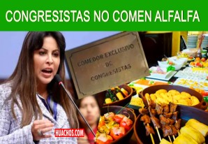 Gastos diarios de congresistas por almuerzo pagados por el Estado | VIDEO Gastos diarios de congresistas por almuerzo pagados por el Estado | VIDEO