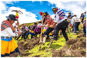El “Chakmay Faena”, una antigua tradición agrícola comunal | VIDEO El “Chakmay Faena”, una antigua tradición agrícola comunal | VIDEO