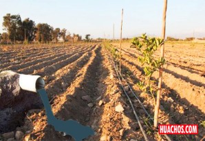Emapica venderá agua de desagüe sin tratamiento a empresas agrícolas iqueñas Emapica venderá agua de desagüe sin tratamiento a empresas agrícolas iqueñas