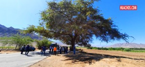 Homenaje a los maravillosos huarangos centenarios de Nasca | VIDEO Homenaje a los maravillosos huarangos centenarios de Nasca | VIDEO