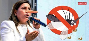 El 18 de mayo, la ministra del Minsa, prometió erradicar el dengue en 15 días El 18 de mayo, la ministra del Minsa, prometió erradicar el dengue en 15 días