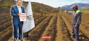 Como ya es tradicional, las autoridades públicas del sector agrario, tienen la culpa Como ya es tradicional, las autoridades públicas del sector agrario, tienen la culpa