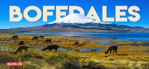 Mensaje importante para las autoridades locales, regionales y nacionales | VIDEO Mensaje importante para las autoridades locales, regionales y nacionales | VIDEO