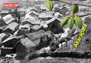 Frutas silvestres del campo, de los puquios, de los cerros, de las punas... Frutas silvestres del campo, de los puquios, de los cerros, de las punas...