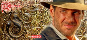 La nueva serpiente llamada Harrison Ford | VIDEO La nueva serpiente llamada Harrison Ford | VIDEO