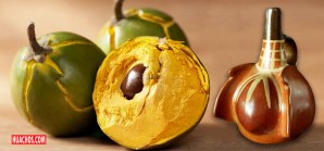 La deliciosa lúcuma, auténticamente peruana desde tiempos inmemoriales | VIDEO La deliciosa lúcuma, auténticamente peruana desde tiempos inmemoriales | VIDEO