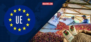 Peligra exportación de café peruano ante nuevas normas de la Unión Europea | AUDIO Peligra exportación de café peruano ante nuevas normas de la Unión Europea | AUDIO