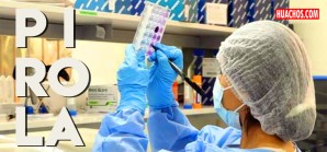 INS identifica el primer caso de la variante 'Pirola' de la Covid-19 INS identifica el primer caso de la variante 'Pirola' de la Covid-19