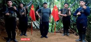 Importante golpe de las fuerzas del orden al narcotráfico en el Vraem (Ayacucho) Importante golpe de las fuerzas del orden al narcotráfico en el Vraem (Ayacucho)