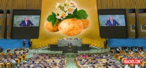 La papa, originaria del Perú, para beneficio de toda la Humanidad La papa, originaria del Perú, para beneficio de toda la Humanidad