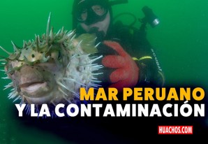 'Nuestro mar: Conecta con la vida' - Un documental de Latina Noticias 'Nuestro mar: Conecta con la vida' - Un documental de Latina Noticias