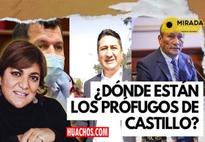 Diana Seminario: “¿Dónde están los prófugos de Pedro Castillo? | VIDEO Diana Seminario: “¿Dónde están los prófugos de Pedro Castillo? | VIDEO