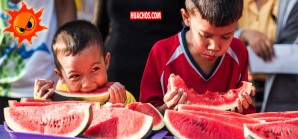 EsSalud: sandía y melón números uno para combatir el golpe de calor EsSalud: sandía y melón números uno para combatir el golpe de calor