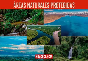 La importancia de las áreas naturales protegidas | VIDEO La importancia de las áreas naturales protegidas | VIDEO