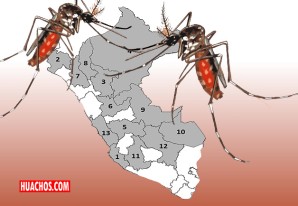 20 regiones serán declaradas en emergencia por brote de dengue: ¿cuáles son? | VIDEO 20 regiones serán declaradas en emergencia por brote de dengue: ¿cuáles son? | VIDEO