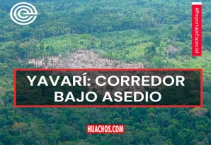 Reportaje "Yavarí: corredor bajo asedio" | VIDEO Reportaje "Yavarí: corredor bajo asedio" | VIDEO