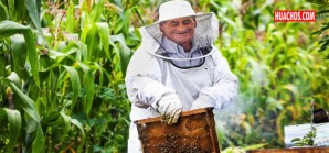 Don Elías, el emprendedor, comienza su carrera de apicultor exitoso a los 70 años Don Elías, el emprendedor, comienza su carrera de apicultor exitoso a los 70 años