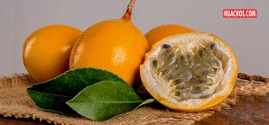La granadilla, junto con la lucma y la chirimoya son la nobleza de las frutas peruanas La granadilla, junto con la lucma y la chirimoya son la nobleza de las frutas peruanas