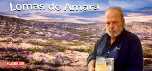 Las Lomas y Tillandsiales de Amara y Ullujalla tienen conservación asegurada en Ica Las Lomas y Tillandsiales de Amara y Ullujalla tienen conservación asegurada en Ica