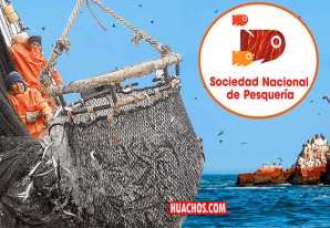 La pesca industrial criolla quiere pescar dentro de la Reserva Nacional de Paracas | DIRECTO La pesca industrial criolla quiere pescar dentro de la Reserva Nacional de Paracas | DIRECTO