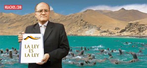 Oficial: No procede la pesca industrial en la Reserva Nacional de Paracas Oficial: No procede la pesca industrial en la Reserva Nacional de Paracas