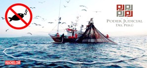 Expediente cerrado. Queda terminantemente prohibido pesca industrial en Reserva de Paracas Expediente cerrado. Queda terminantemente prohibido pesca industrial en Reserva de Paracas