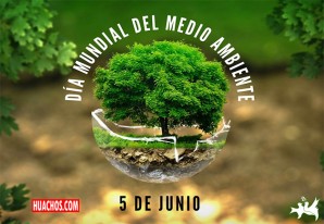 ¿Sabías que el 5 junio es el Día Mundial del Medio Ambiente? | VIDEO ¿Sabías que el 5 junio es el Día Mundial del Medio Ambiente? | VIDEO