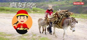 Pronto habrá problemas de transporte de carga en los pueblos rurales de la costa, sierra y selva Pronto habrá problemas de transporte de carga en los pueblos rurales de la costa, sierra y selva