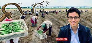 La poderosa agrindustria peruana 2024 como en los viejos tiempos republicanos La poderosa agrindustria peruana 2024 como en los viejos tiempos republicanos