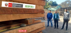 SERFOR: El difícil combate contra el comercio ilegal de madera protegida peruana SERFOR: El difícil combate contra el comercio ilegal de madera protegida peruana
