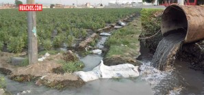 Pronto regar las hortalizas con agua de desagüe será cosa del pasado en Chincha Pronto regar las hortalizas con agua de desagüe será cosa del pasado en Chincha