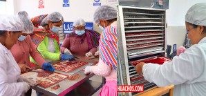 Madres de Lircay aprenden nuevas tecnologías de la alimentación para mejorar la dieta de sus hijos Madres de Lircay aprenden nuevas tecnologías de la alimentación para mejorar la dieta de sus hijos