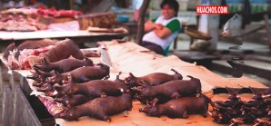 Nuevo estudio científico indica que el Mercado de Wuhan podría haber sido origen del Covid-19 Nuevo estudio científico indica que el Mercado de Wuhan podría haber sido origen del Covid-19