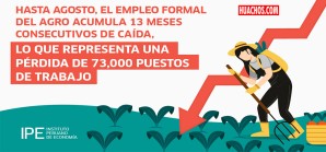 Empleo formal en el agro acumula 13 meses consecutivos de caída Empleo formal en el agro acumula 13 meses consecutivos de caída