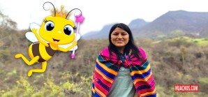 Ysabel Calderón, la reina de las abejas peruanas sin aguijón | VIDEO Ysabel Calderón, la reina de las abejas peruanas sin aguijón | VIDEO
