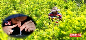 Buena noticia para Colombia y sus socios peruanos, bolivianos, mejicanos y los otros… Buena noticia para Colombia y sus socios peruanos, bolivianos, mejicanos y los otros…